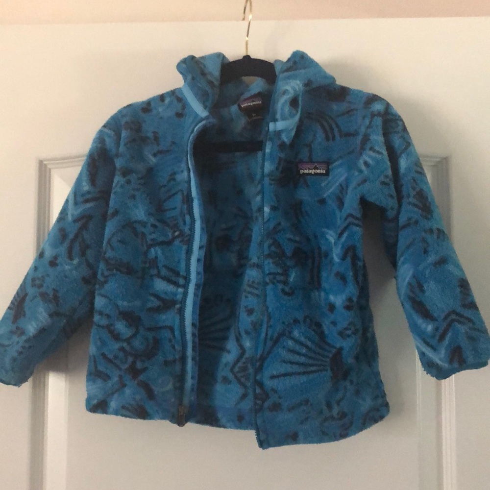 Patagonia Synchilla Fleece zip up with hood